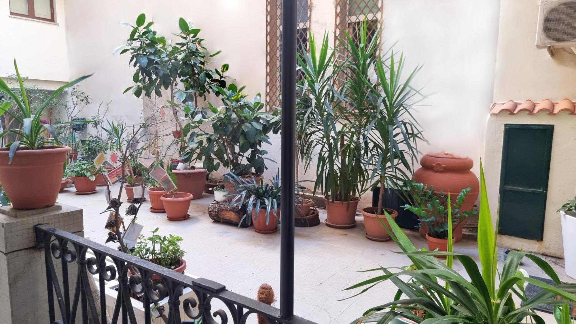Loft Magna Grecia Reggio Calabria Centro Storico A 3 Minuti A Piedi Dal Mare Apartment Luaran gambar
